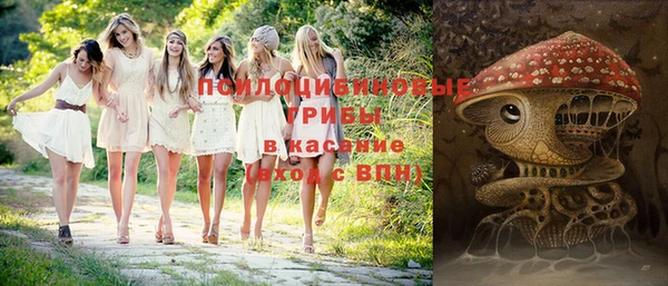 Альфа ПВП Майский