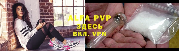 сатива Лабытнанги