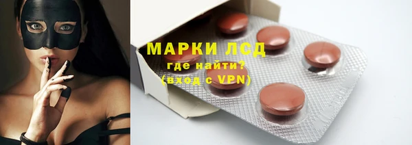 сатива Лабытнанги