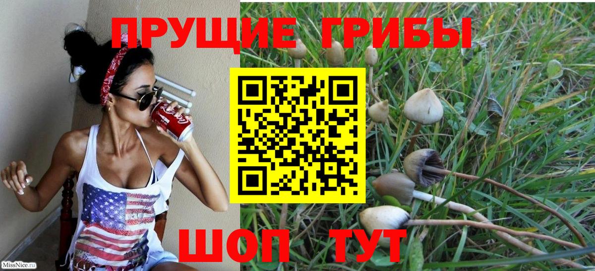 Псилоцибиновые грибы Psilocybe Михайловск