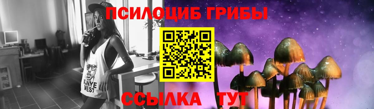 Галлюциногенные грибы Cubensis  Вход с VPN  наркота  Галлюциногенные грибы Magic Shrooms  Михайловск 